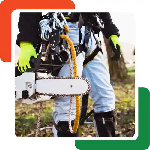 A person wearing safety gear and gloves holds a chainsaw and climbing equipment, standing outdoors near a tree in Cherokee, GA. Colorful graphic corners frame the image, highlighting professional tree removal Cherokee services.