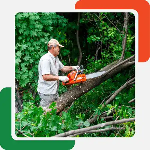 A man wearing a cap and gloves uses a chainsaw to cut a fallen tree in a lush, green forested area—perfectly illustrating professional tree removal Cherokee, GA. Red and green rounded corner accents frame the image.