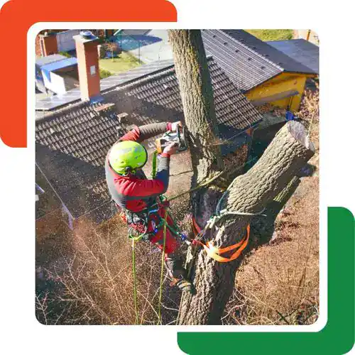An arborist in safety gear uses a chainsaw to cut a large tree branch high above the ground, secured with ropes near rooftops—expert tree removal Cherokee trusts for safe and reliable service.