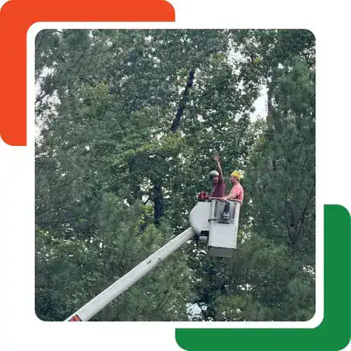 Two workers in safety gear stand in a bucket lift elevated among tall green trees, performing tree removal Cherokee, GA services, surrounded by a white frame with orange and green corner accents.