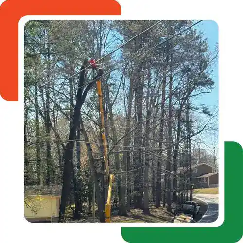 A worker in a red shirt stands in a yellow lift, cutting tree branches near power lines. Tall trees and a house are visible in the background, with a curved road nearby—typical of professional tree services Cherokee, GA.